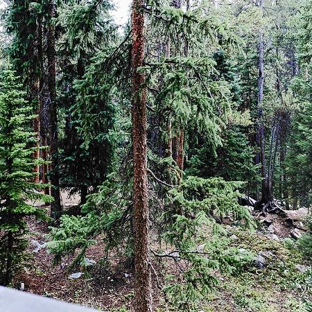 Powderhorn C202 Condo Breckenridge Dış mekan fotoğraf