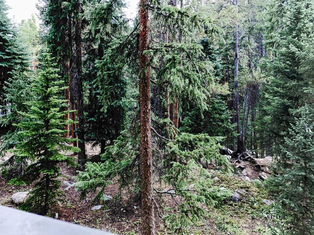 Powderhorn C202 Condo Breckenridge Dış mekan fotoğraf